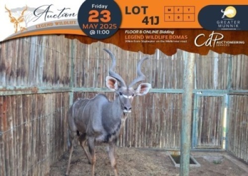 1 X Kudu M:1 Greater Munnik Conservancies Plaas: Dikgale