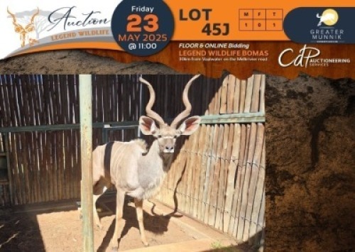 1 X Kudu M:1 Greater Munnik Conservancies Plaas: Dikgale