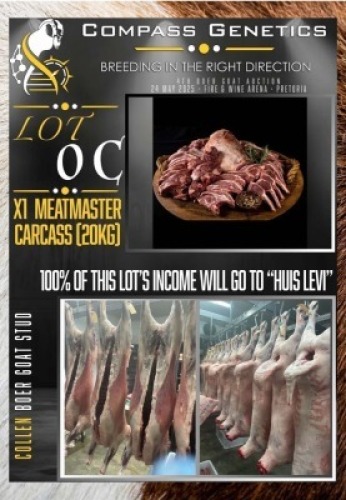 1X MEATMASTER *CHARITY LOT* CARCASS Collen Boerdery