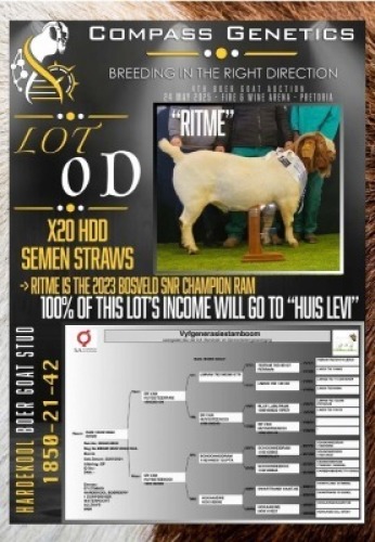1X BOER GOAT *CHARITY LOT* SEMEN STRAWS Hardekool Boerbok Stoet