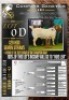 1X BOER GOAT *CHARITY LOT* SEMEN STRAWS Hardekool Boerbok Stoet