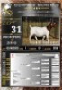 1X BOER GOAT STUD EWE Collen Boerdery