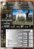 1X BOER GOAT FLOCK EWE Rietkuil Boer Goat Stud