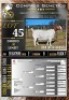 1X BOER GOAT FLOCK ON TEAT EWE Collen Boerdery