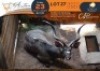 1 X Kudu M:1 Greater Munnik Conservancies Plaas: Mooketsi