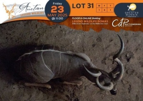 1 X Kudu M:1 Greater Munnik Conservancies Plaas: Mooketsi