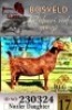 1X KALAHARI RED STUD 17-121 DOE BLG Stud Breeders
