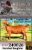 1X KALAHARI RED FLOCK 38-659 DOE BLG Stud Breeders