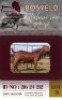 1X KALAHARI RED FLOCK 38-868 DOE Ngupi Farm