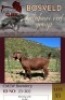 1X KALAHARI RED FLOCK 11-306 DOE CMLW Boerdery