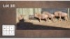 4X GOUEWILDEBEES V/F:4 (Per Piece to take the lot/Per stuk om lot te neem)