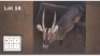 1X WATERBOK M:1