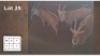 3X ELAND V/F:3 (Per Piece to take the lot/Per stuk om lot te neem)