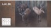 3X ROOIHARTBEES V/F:3 (Per Piece to take the lot/Per stuk om lot te neem)