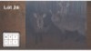3X WATERBOK V/F:3 (Per Piece to take the lot/Per stuk om lot te neem)