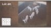 5X WIT BLESBOK M:5 V/F: (Per Piece to take the lot/Per stuk om lot te neem)