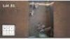 4X NYALA V/F:4 (Per Piece to take the lot/Per stuk om lot te neem)