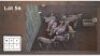 9X BLESBOK - Lammers (Per Piece to take the lot/Per stuk om lot te neem)
