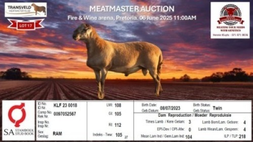 1X MEATMASTER RECORDED RAM KLUYTS LIVESTOCK FARMING (PTY) LTD