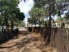 Sale of Farm - Portion 14 Farm Amatava 41 KS - 85HA Cattle and Game Farm - 20