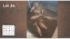 6 X BLESBOK V/F: 6 (Per Piece to take the lot/Per stuk om lot te neem)