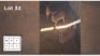 3 X NYALA V/F: 3 (Per Piece to take the lot/Per stuk om lot te neem)