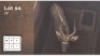 1 X NYALA 22" M: 1