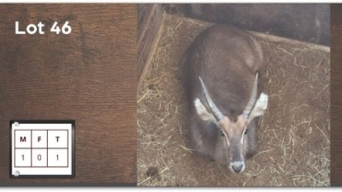 1 X WATERBOK M: 1