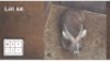 1 X WATERBOK M: 1
