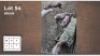 4 X BLESBOK M: 4 - JONG (Per Piece to take the lot/Per stuk om lot te neem)