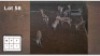 7 X SPRINGBOK M: 7 (Per Piece to take the lot/Per stuk om lot te neem)