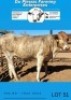 4 X X BREED HEIFERS Du Plessis Farming - 4