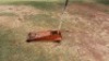 TROLLY JACK - 2
