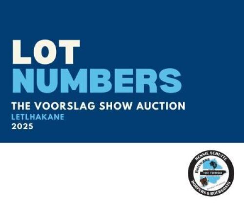 SMALL STOCK LOTS START FROM LOT 101 ON 28 JUNE @ 11H00