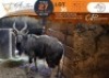 1 X Nyala M:1 Swerwers Spruit