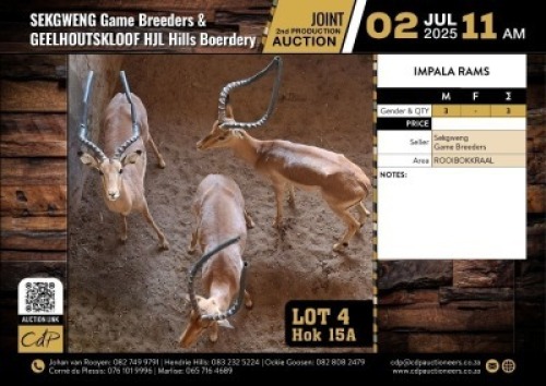 3 X IMPALA RAMS M:3 (Per Piece to take the lot/Per stuk om lot te neem)