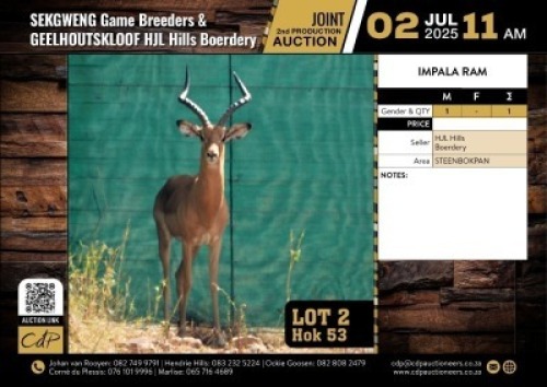 1 X IMPALA RAM M:1