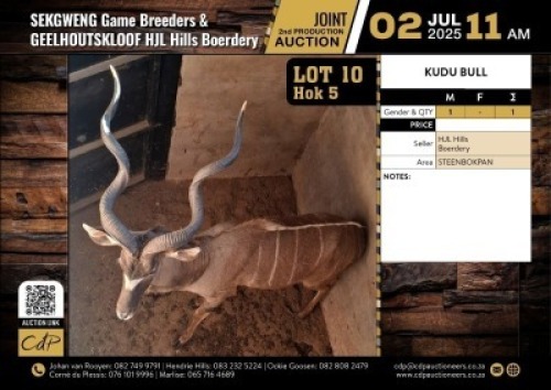 1 X KOEDOEBUL M:1