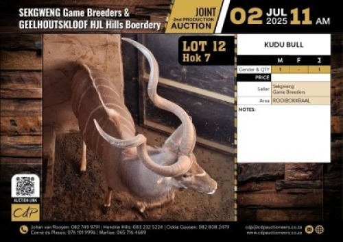1 X KOEDOEBUL M:1