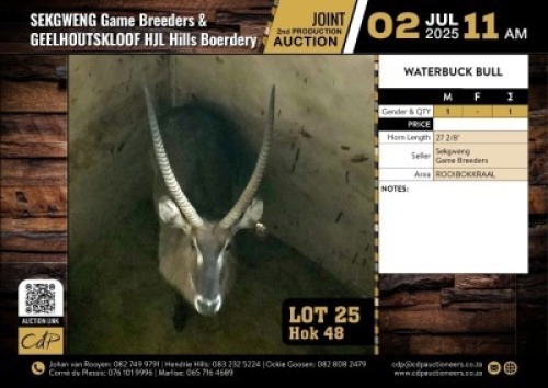 1 X WATERBOKBUL 27 2/8" M:1