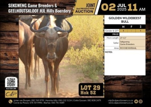 1 X GOUE WILDEBEESBUL 27 1/2" M:1