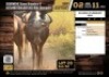 1 X GOUE WILDEBEESBUL 27 1/2" M:1