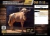 1 X GOUE WILDEBEES BUL 26"+ / 14" BOSSES M:1