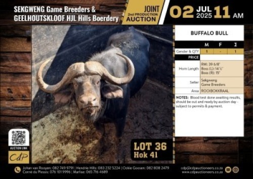 1 X BUFFEL BUL 39 6/8" M:1