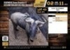 1 X BLOUWILDEBEES BUL M:1