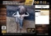 1 X BLOUWILDEBEES BUL M:1