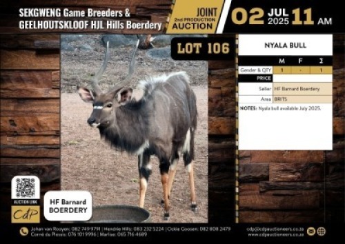 1 X NYALA BULL M:1