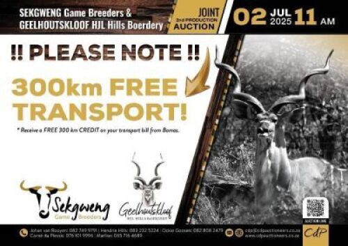 !!!PLEASE NOTE!!! 300KM FREE TRANSPORT