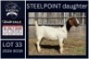 1 X BOER GOAT FLOCK ON COLOUR DOE KARSTEN BOERDERY PTY LTD