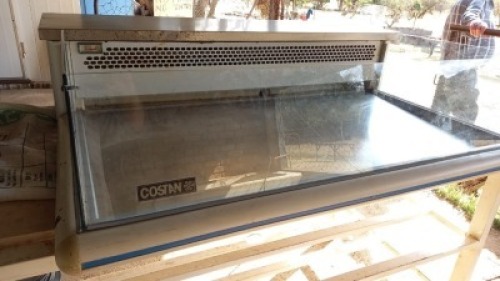 COSTAN DISPLAY FREEZER